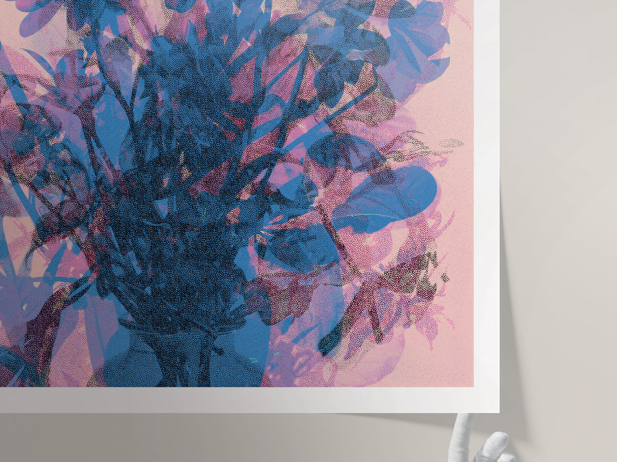 " LE BOUQUET BLEU" by Nicolas Le Beuan Bénic