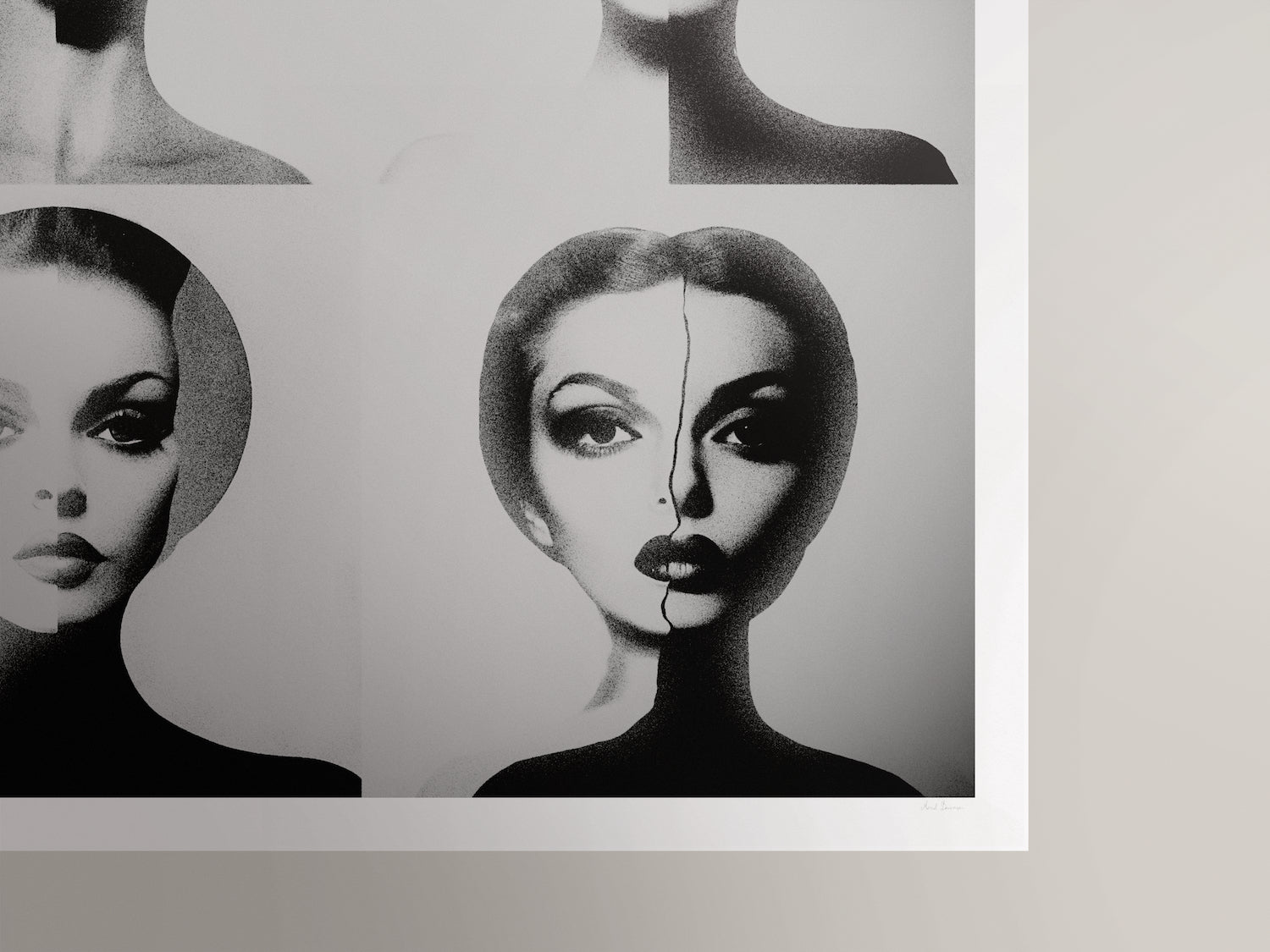 L'image singuliere