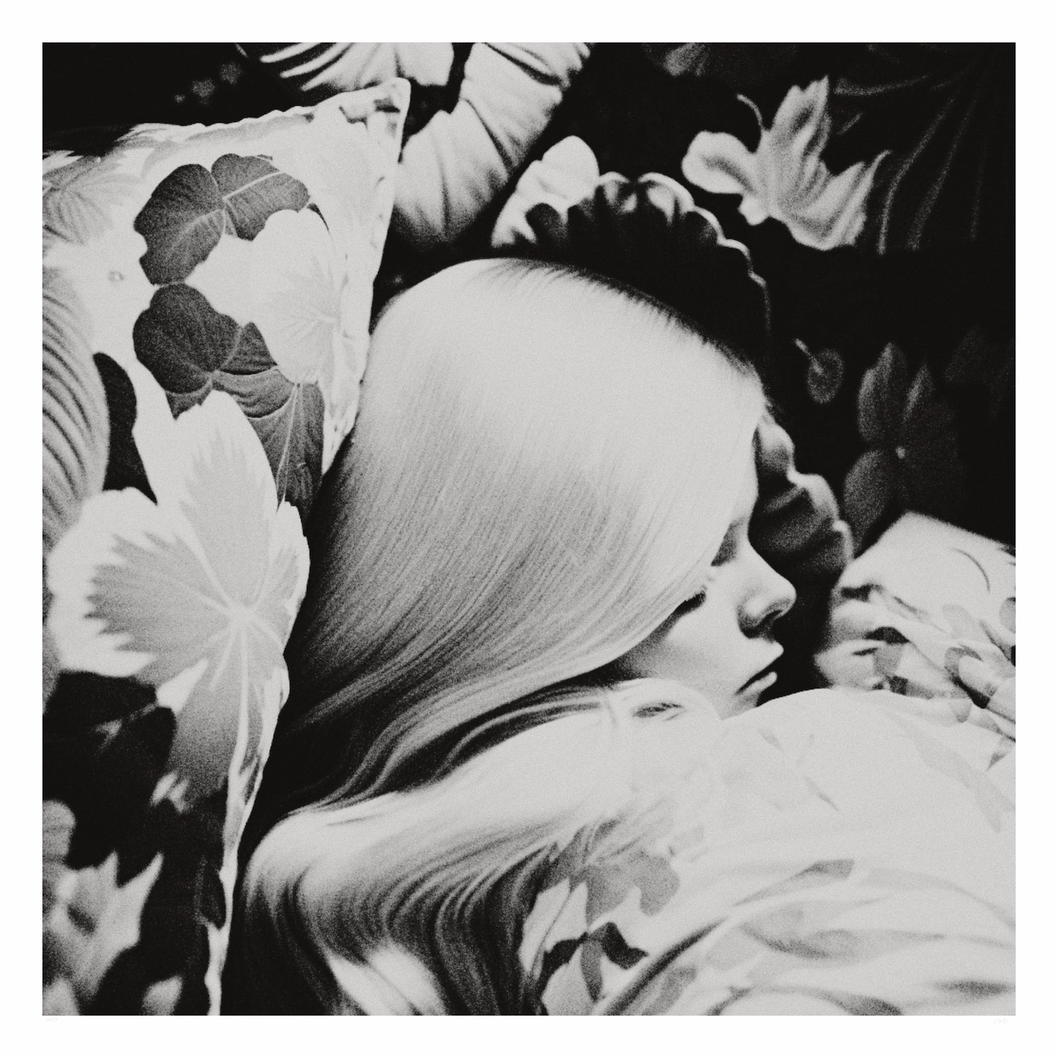 Le sommeil endormi