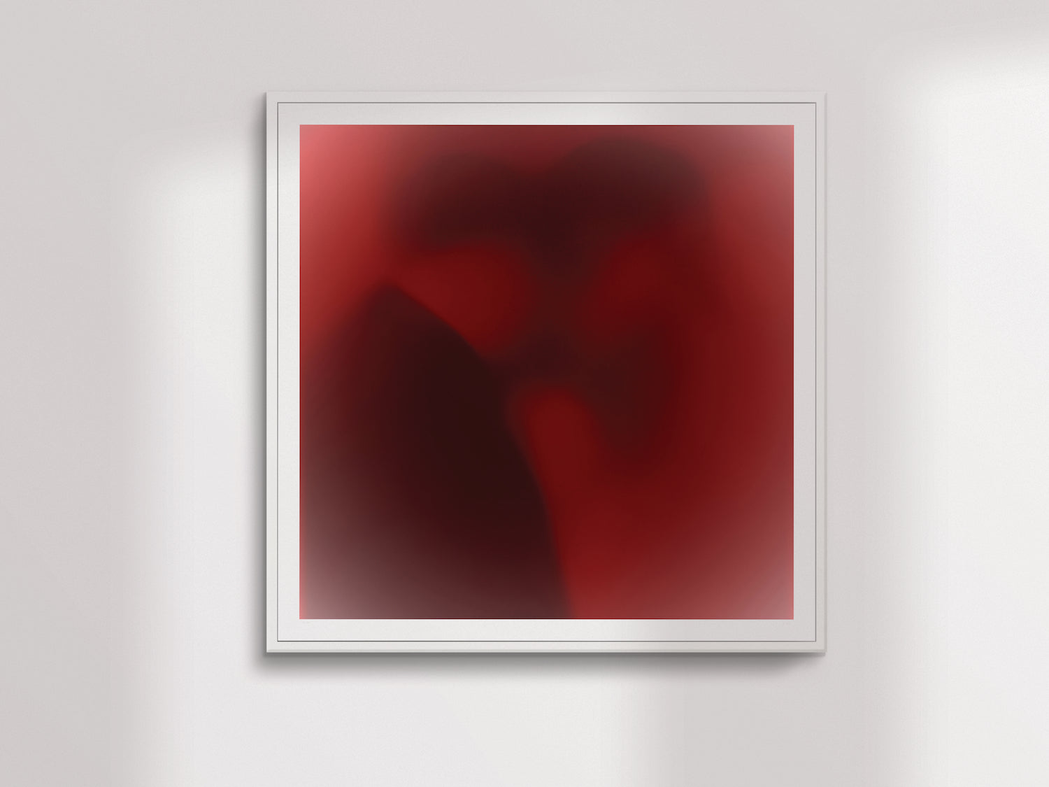 Le visage
