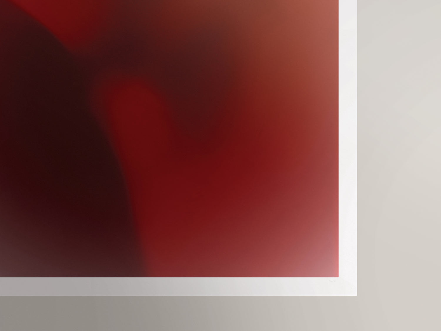 Le visage