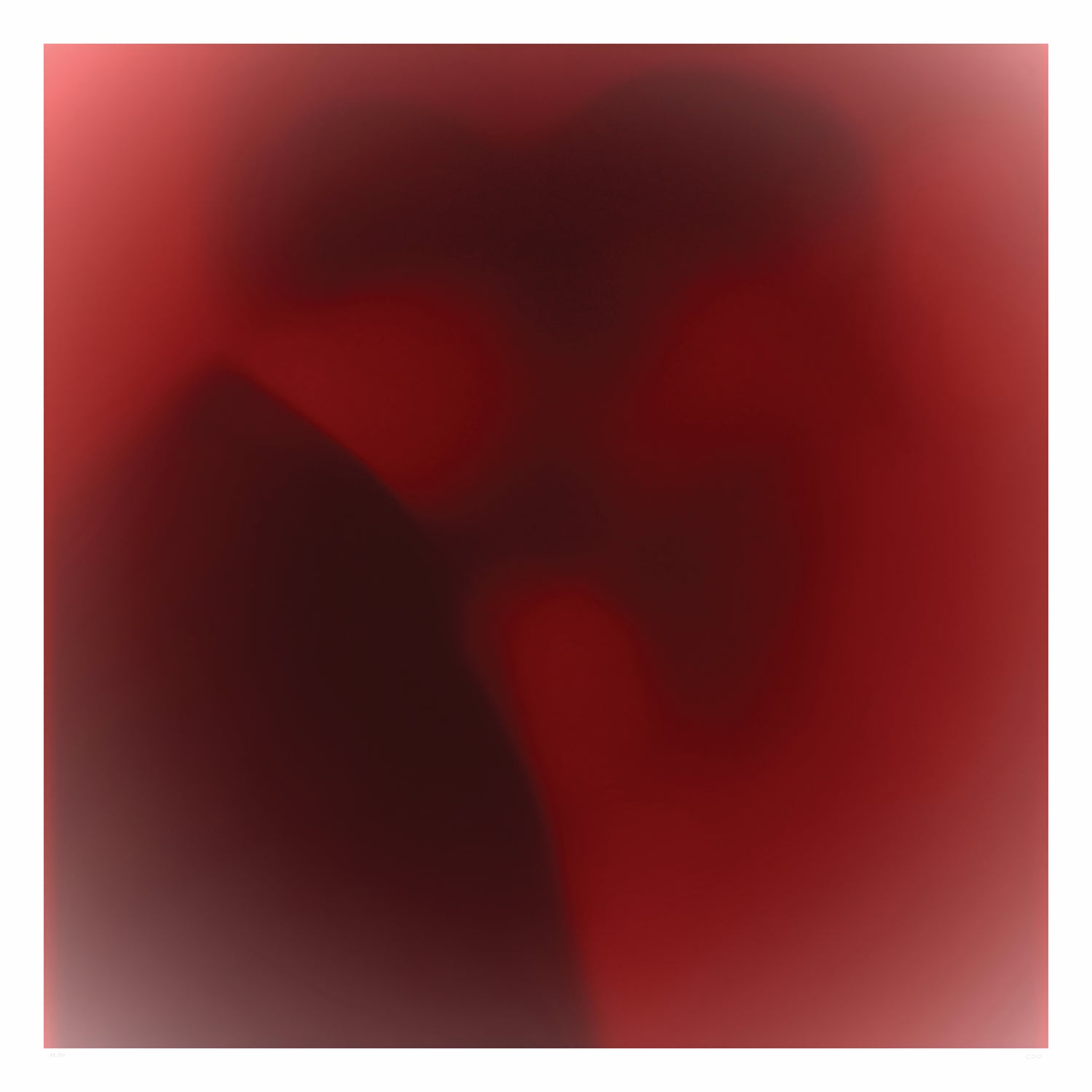 Le visage